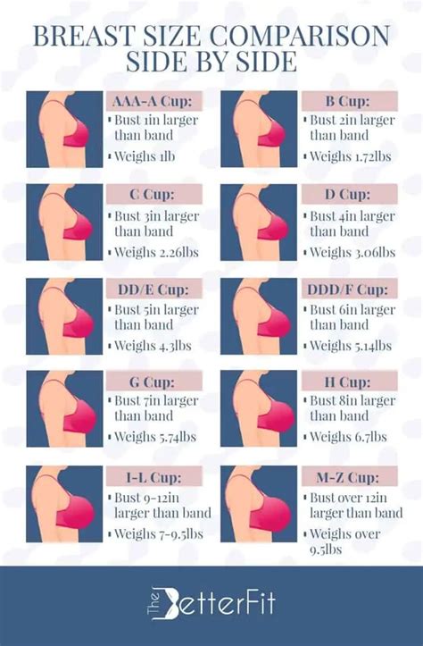 z titties|Breast Size Comparison Side by Side .